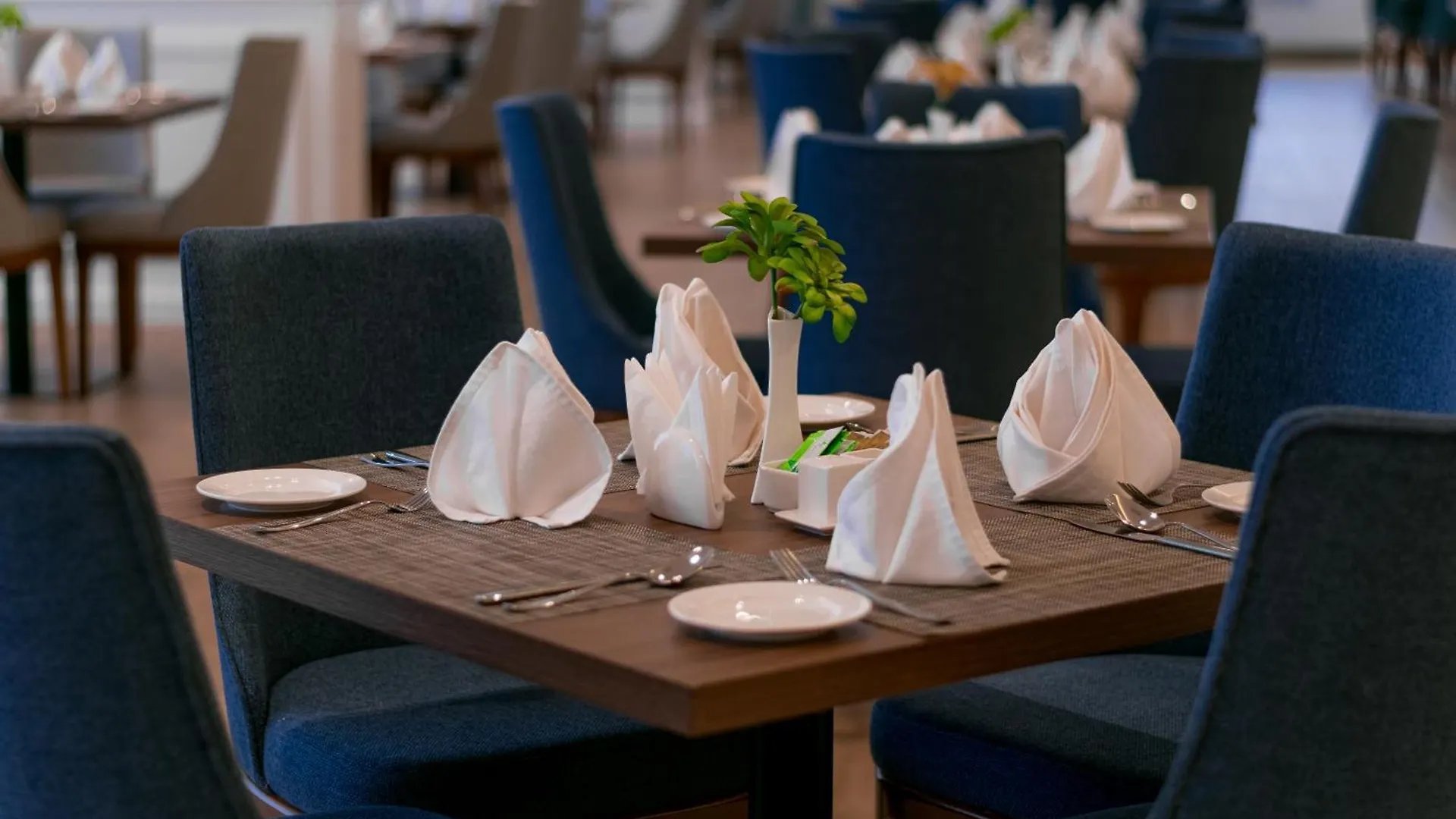 Best Western Plus Jeddah Hotel Madinah Road